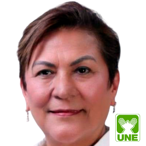 Mirza Judith Arreaga Meza